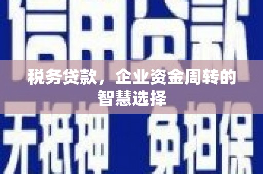 昭化税务贷款，企业资金周转的智慧选择