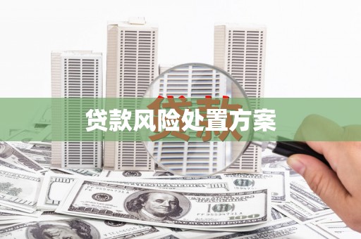 昭化贷款风险处置方案