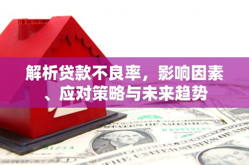 昭化解析贷款不良率，影响因素、应对策略与未来趋势