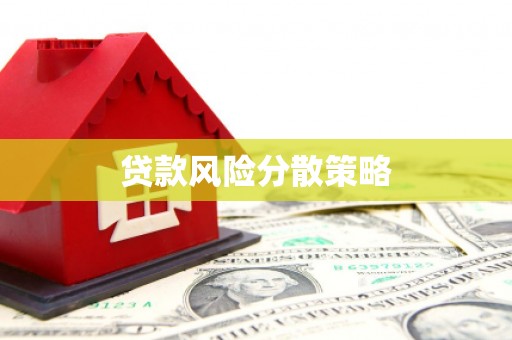 昭化贷款风险分散策略