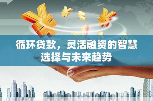 昭化循环贷款，灵活融资的智慧选择与未来趋势
