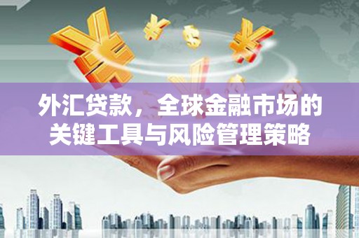 昭化外汇贷款，全球金融市场的关键工具与风险管理策略