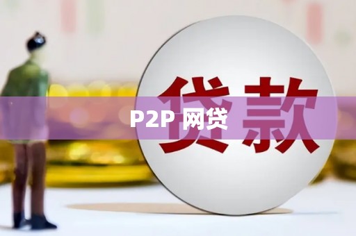 昭化P2P 网贷