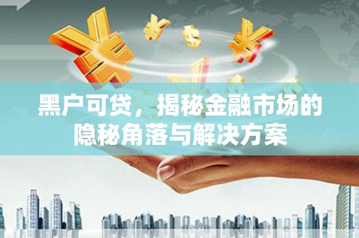 昭化黑户可贷，揭秘金融市场的隐秘角落与解决方案