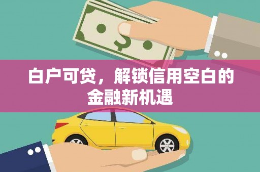 昭化白户可贷，解锁信用空白的金融新机遇