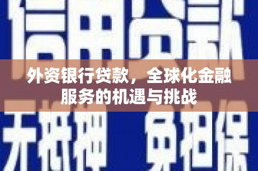 昭化外资银行贷款，全球化金融服务的机遇与挑战
