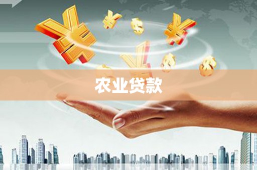 昭化农业贷款