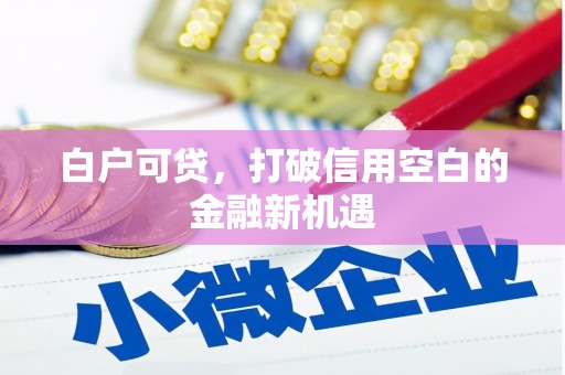 昭化白户可贷，打破信用空白的金融新机遇