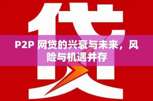 昭化P2P 网贷的兴衰与未来，风险与机遇并存