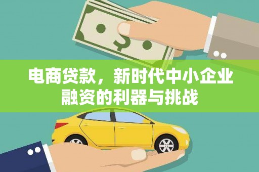 昭化电商贷款，新时代中小企业融资的利器与挑战