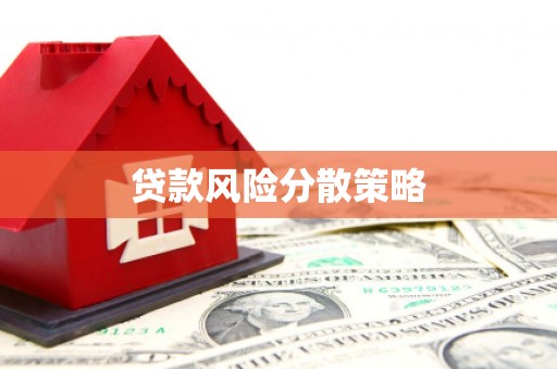 昭化贷款风险分散策略