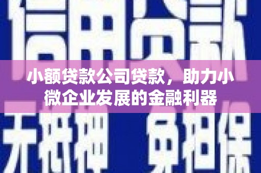 昭化小额贷款公司贷款，助力小微企业发展的金融利器