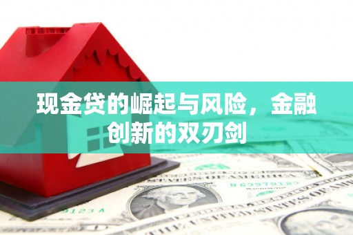 昭化现金贷的崛起与风险，金融创新的双刃剑