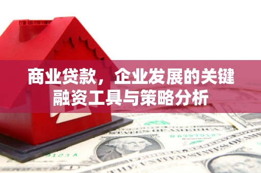 昭化商业贷款，企业发展的关键融资工具与策略分析