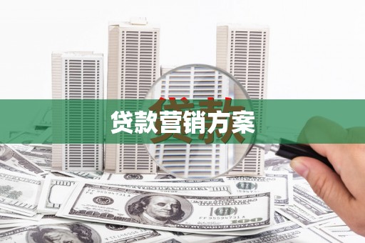 昭化贷款营销方案