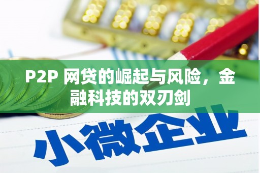 昭化P2P 网贷的崛起与风险，金融科技的双刃剑