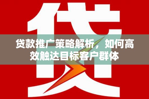 昭化贷款推广策略解析，如何高效触达目标客户群体