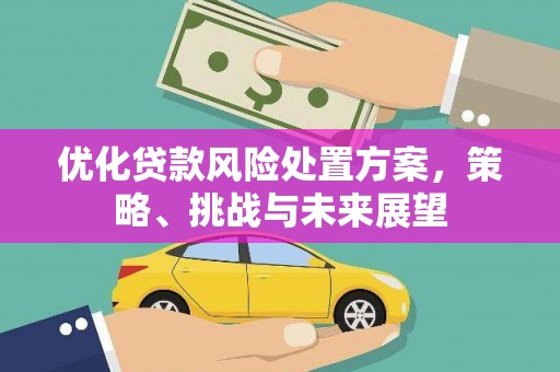 昭化优化贷款风险处置方案，策略、挑战与未来展望