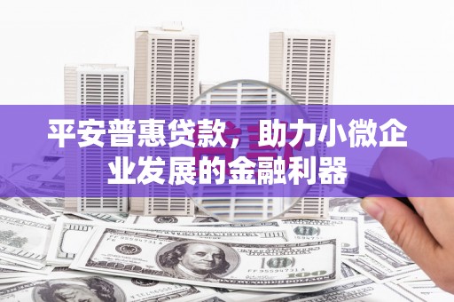 昭化平安普惠贷款，助力小微企业发展的金融利器