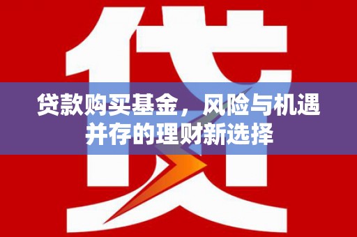 昭化贷款购买基金，风险与机遇并存的理财新选择