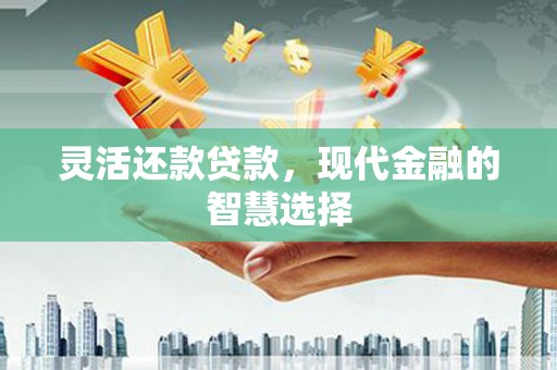 昭化灵活还款贷款，现代金融的智慧选择