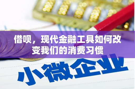 昭化借呗，现代金融工具如何改变我们的消费习惯