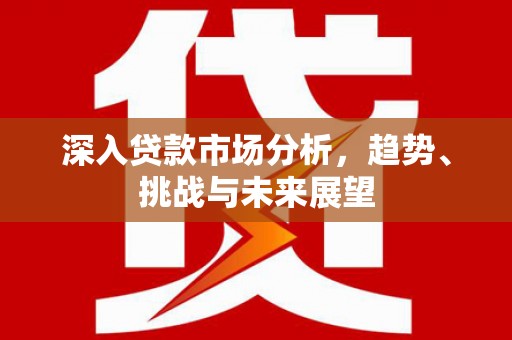 昭化深入贷款市场分析，趋势、挑战与未来展望