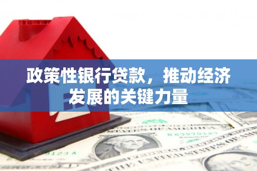 昭化政策性银行贷款，推动经济发展的关键力量