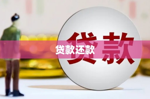 昭化贷款还款