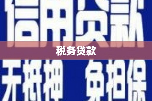 昭化税务贷款