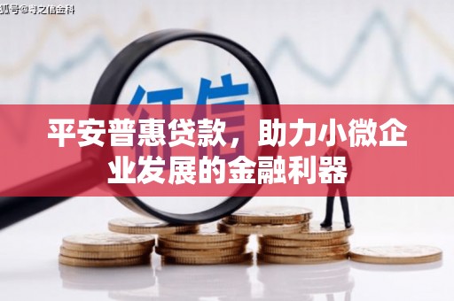 昭化平安普惠贷款，助力小微企业发展的金融利器