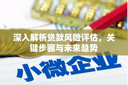 昭化深入解析贷款风险评估，关键步骤与未来趋势