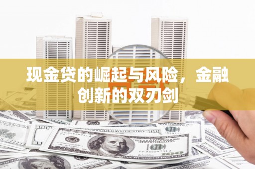 昭化现金贷的崛起与风险，金融创新的双刃剑