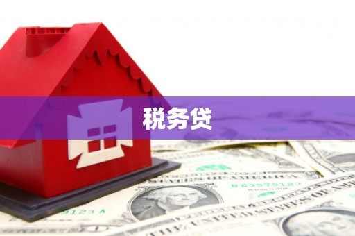 昭化税务贷
