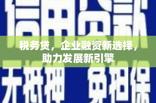 昭化税务贷，企业融资新选择，助力发展新引擎
