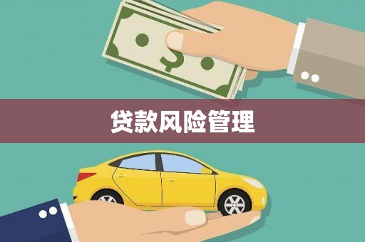 昭化贷款风险管理