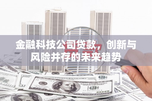 昭化金融科技公司贷款，创新与风险并存的未来趋势