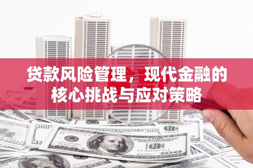 昭化贷款风险管理，现代金融的核心挑战与应对策略