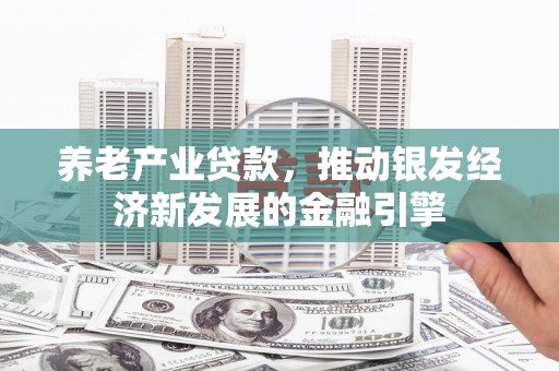 昭化养老产业贷款，推动银发经济新发展的金融引擎
