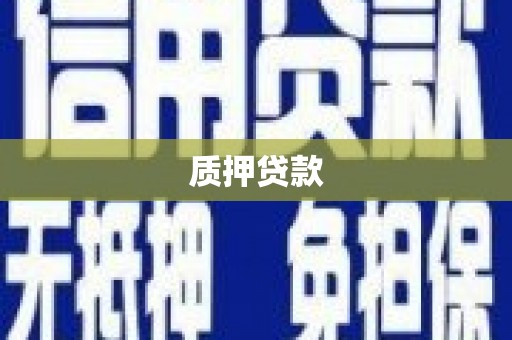 昭化质押贷款