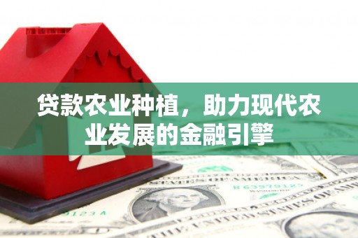 昭化贷款农业种植，助力现代农业发展的金融引擎