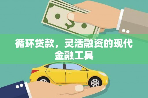 昭化循环贷款，灵活融资的现代金融工具
