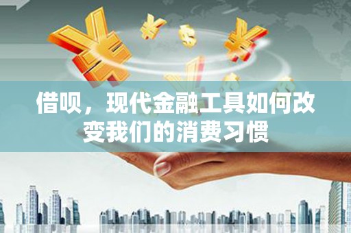 昭化借呗，现代金融工具如何改变我们的消费习惯
