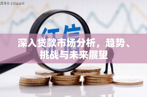昭化深入贷款市场分析，趋势、挑战与未来展望