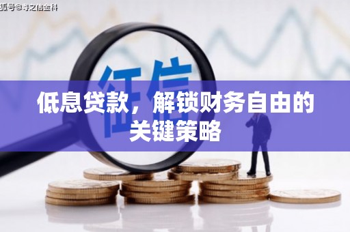 昭化低息贷款，解锁财务自由的关键策略