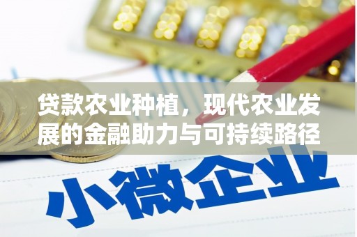 昭化贷款农业种植，现代农业发展的金融助力与可持续路径
