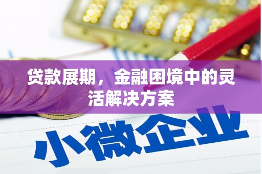 昭化贷款展期，金融困境中的灵活解决方案