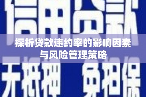 昭化探析贷款违约率的影响因素与风险管理策略