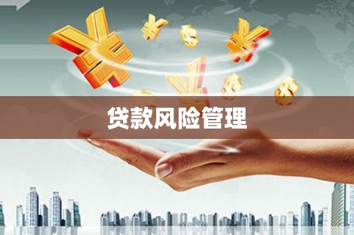 昭化贷款风险管理