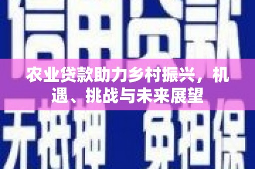 昭化农业贷款助力乡村振兴，机遇、挑战与未来展望